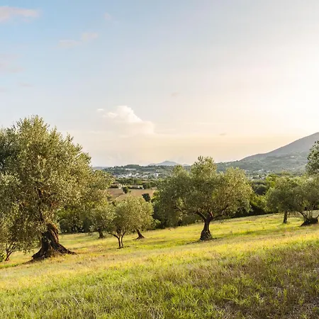 Bed & Breakfast Sentiero Degli Ulivi Mascia