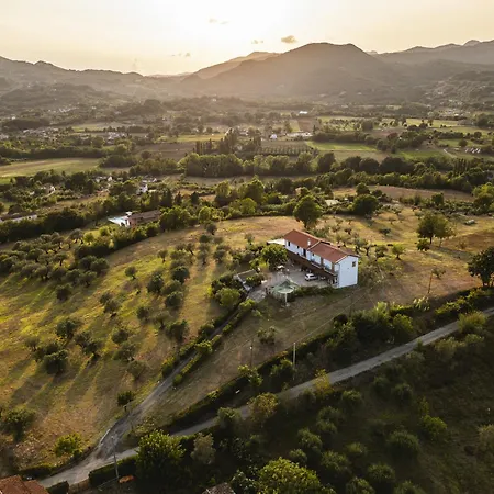 Sentiero Degli Ulivi Mascia * Caiazzo