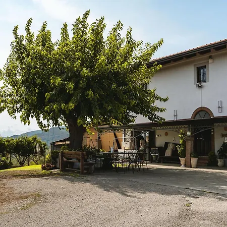 Sentiero Degli Ulivi Mascia