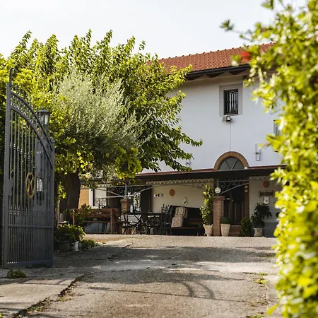 Sentiero Degli Ulivi Mascia