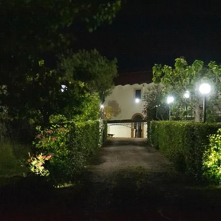 Sentiero Degli Ulivi Mascia * Caiazzo