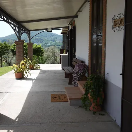 Bed & Breakfast Sentiero Degli Ulivi Mascia