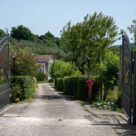 Sentiero Degli Ulivi Mascia Caiazzo